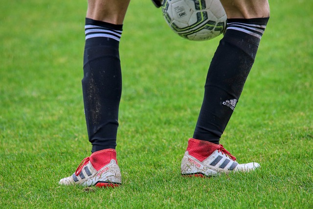 的战术安排 的战术安排