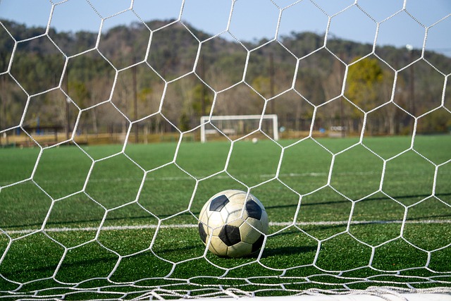 而艾顿在内 而艾顿在内